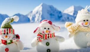 зображення_viber_2025-01-03_20-30-17-585