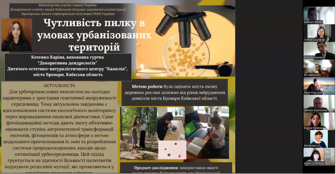 5 Котенко