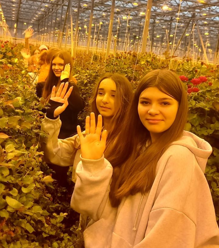 зображення_viber_2025-12-22_17-33-47-102